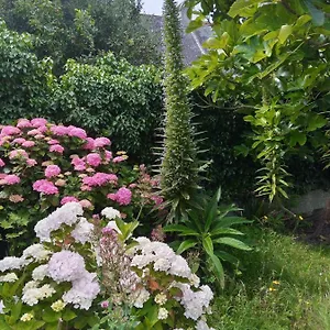 Hébergement de vacances Maison Avec Jardin Proche, Penmarcʼh